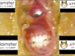 アクティブな男は美しさですべての穴 女性 動画 無理